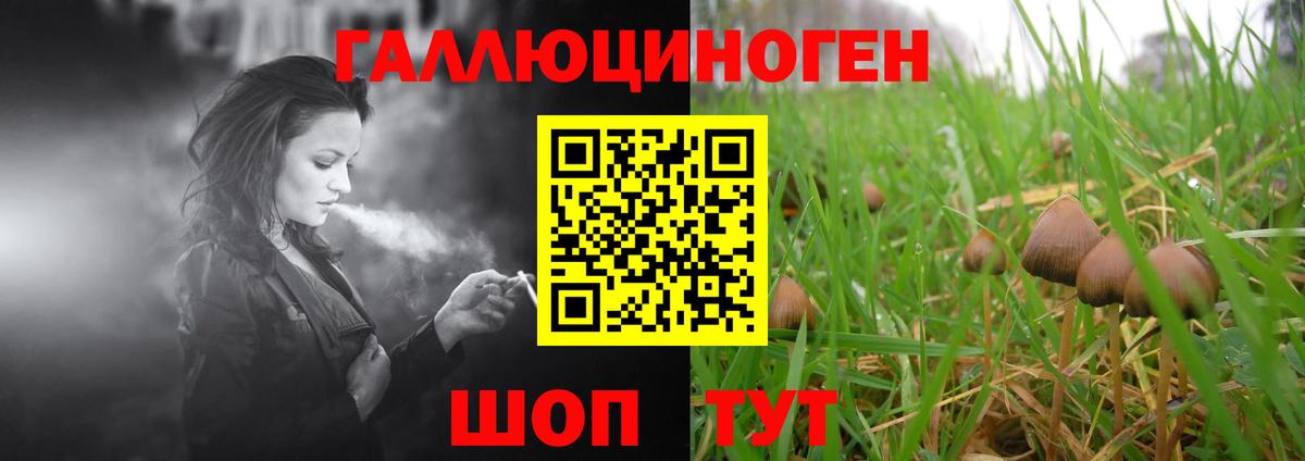 Фрязино  Галлюциногенные грибы GOLDEN TEACHER  Вход с VPN 