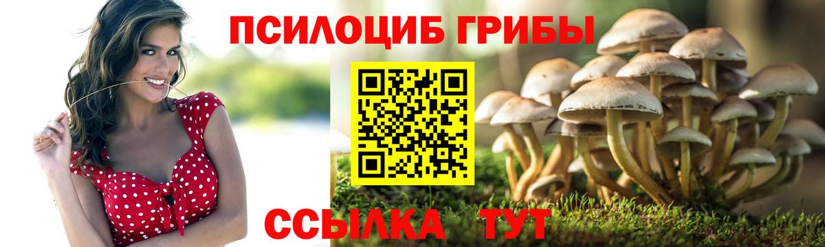Псилоцибиновые грибы Cubensis Фрязино